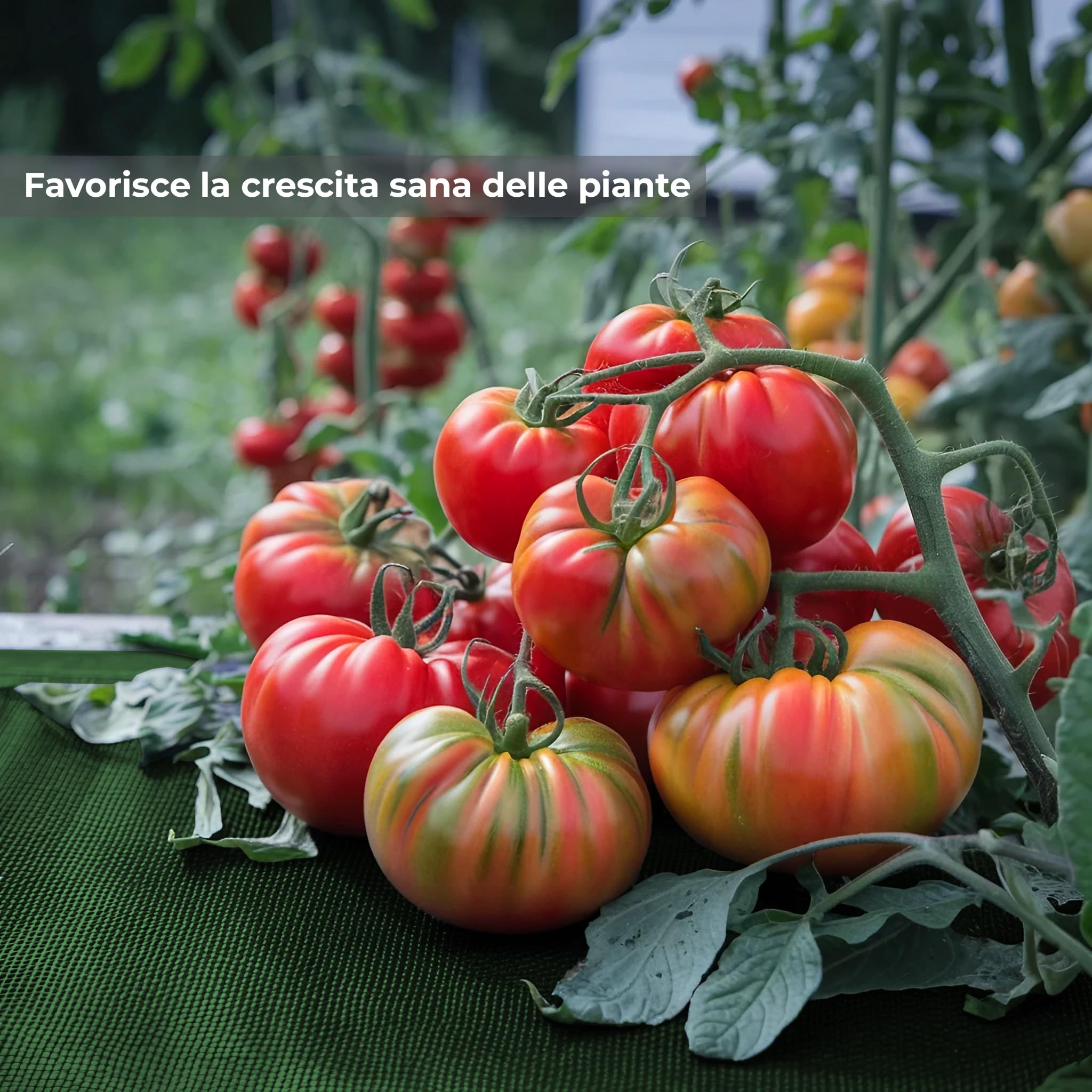 AEFFE Telo Rete Pacciamatura 100 gr/mq in Rotoli, Tessuto Anti Erbacce, Permeabile all'Acqua, Ideale per Ancoraggio Prati Sintetici, Orto, Giardino, Nero e Verde (1,5 x 10 Metri, Verde)