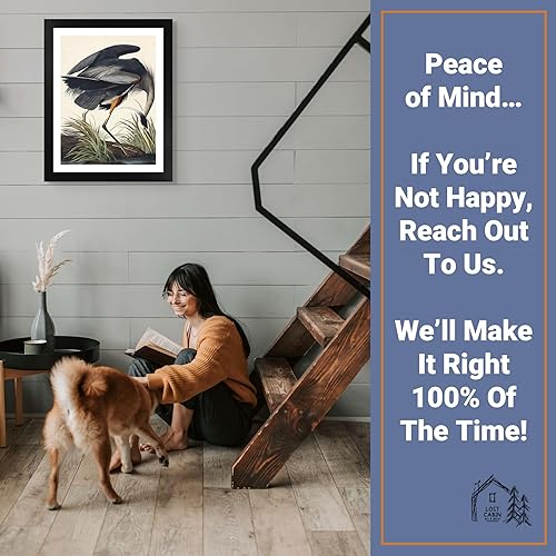 Miniatura 5 de Lost Cabin Great Blue Heron de James Audubon  Impresión enmarañada en marco plano negro  Reproducción de pinturas de obras de arte finas  Póster