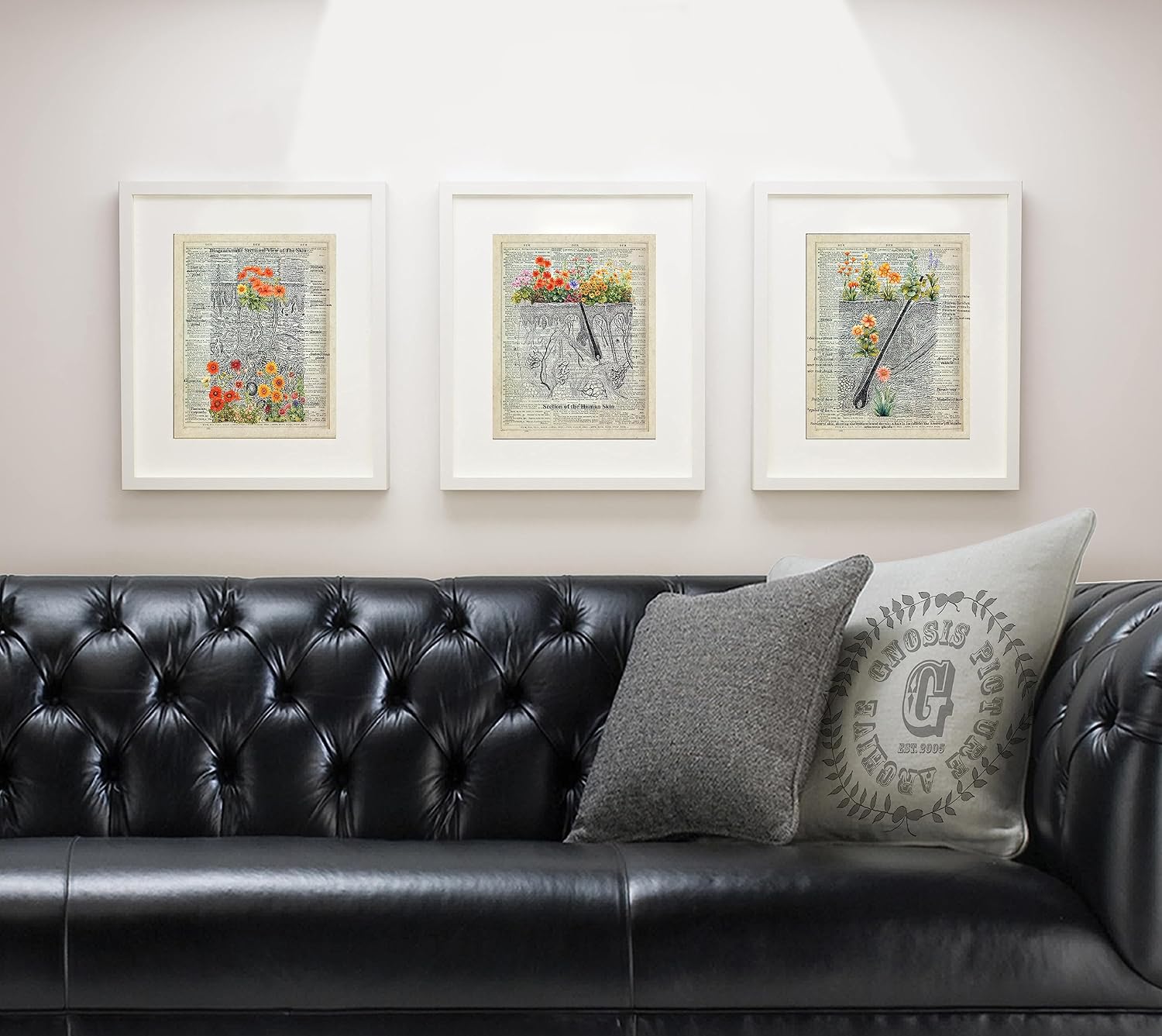 Gnosis Picture Archive Dermatology Anatomy With Floral Design set of 3 unframed Art Prints Dermatologist Esthetician Decor