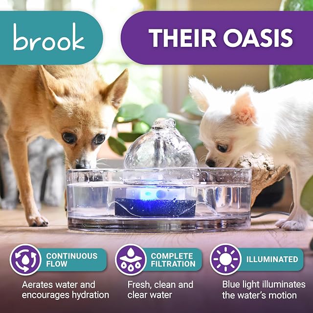 Foto 2 de 6 de Brook Fuente de Vidrio para Mascotas (90 onzas) - Fuente de Agua para Gatos y Perros