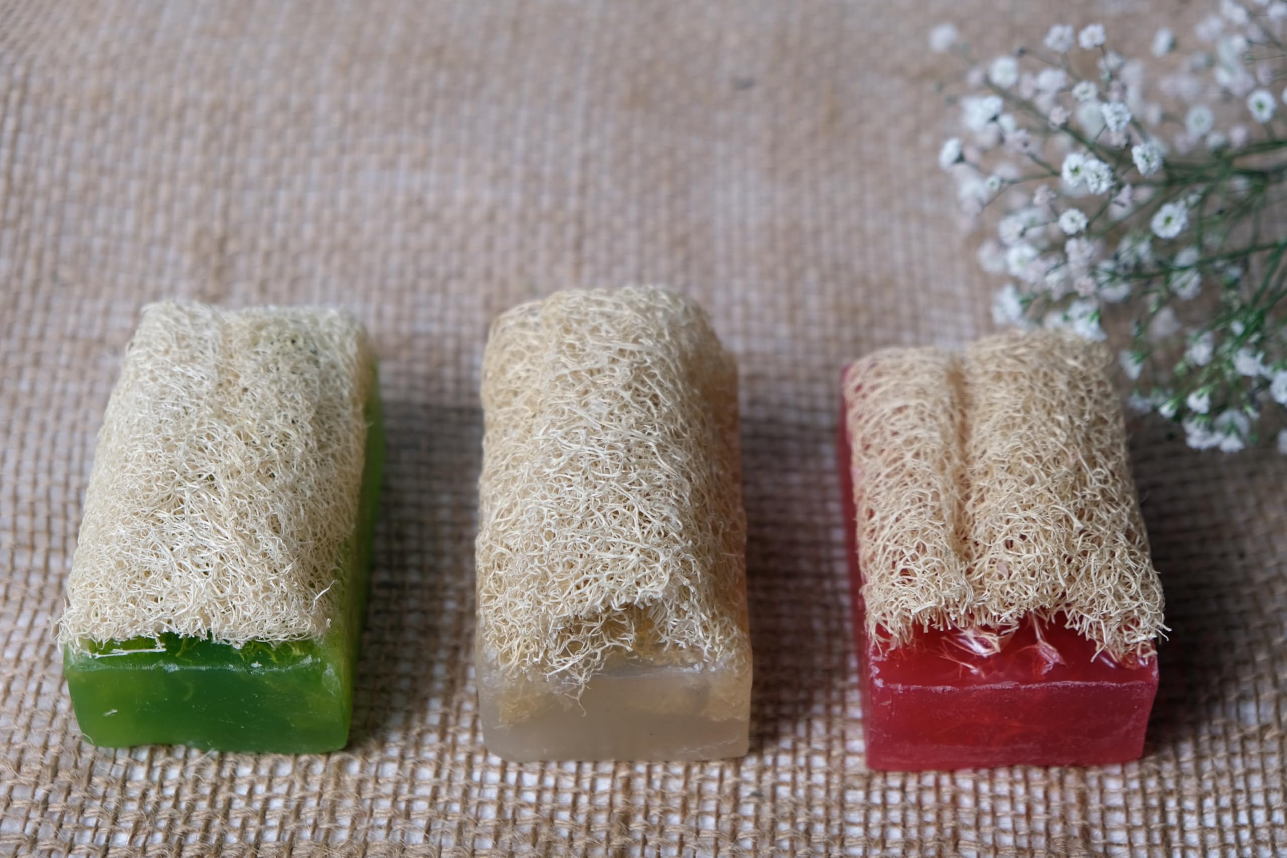Pure Now Loofah Soap Set (3 x 100 g) - With Aloe Vera, Rose Oil & Rice Water - Vegan, Natural Exfoliation, Moisturising - Image 2