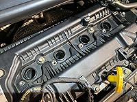 Review Image by SFBay55555 SFBay55555