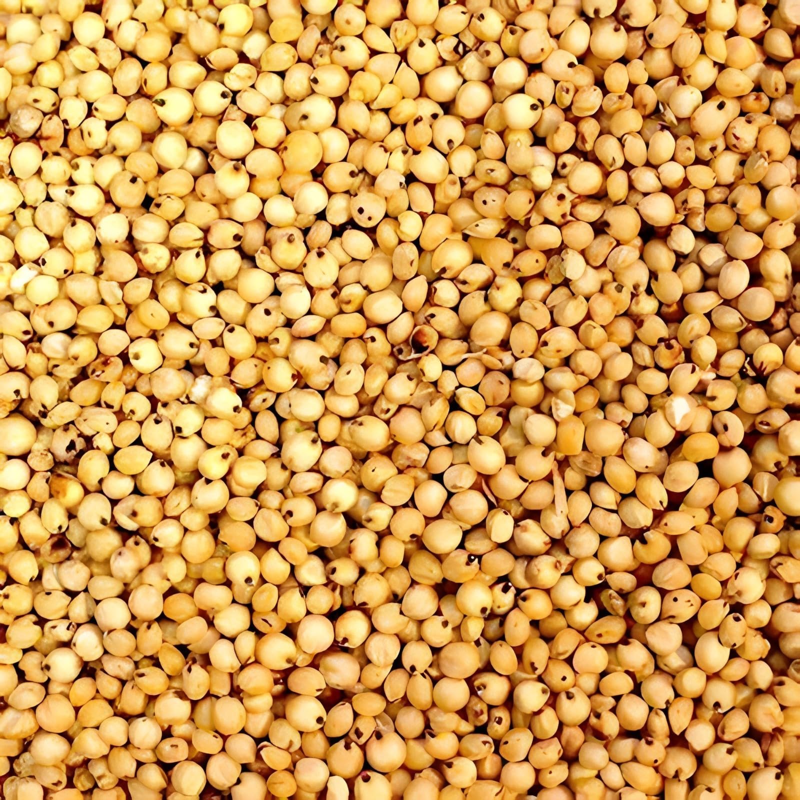 Mizna Yellow Jowar Whole Grains | Gluten-Free Sorghum | Nutrient-Rich, High Fiber Millet for Healthy Cooking & Baking (2kg) (B0DFPL9GLP) Amazon Price History, Amazon Price Tracker