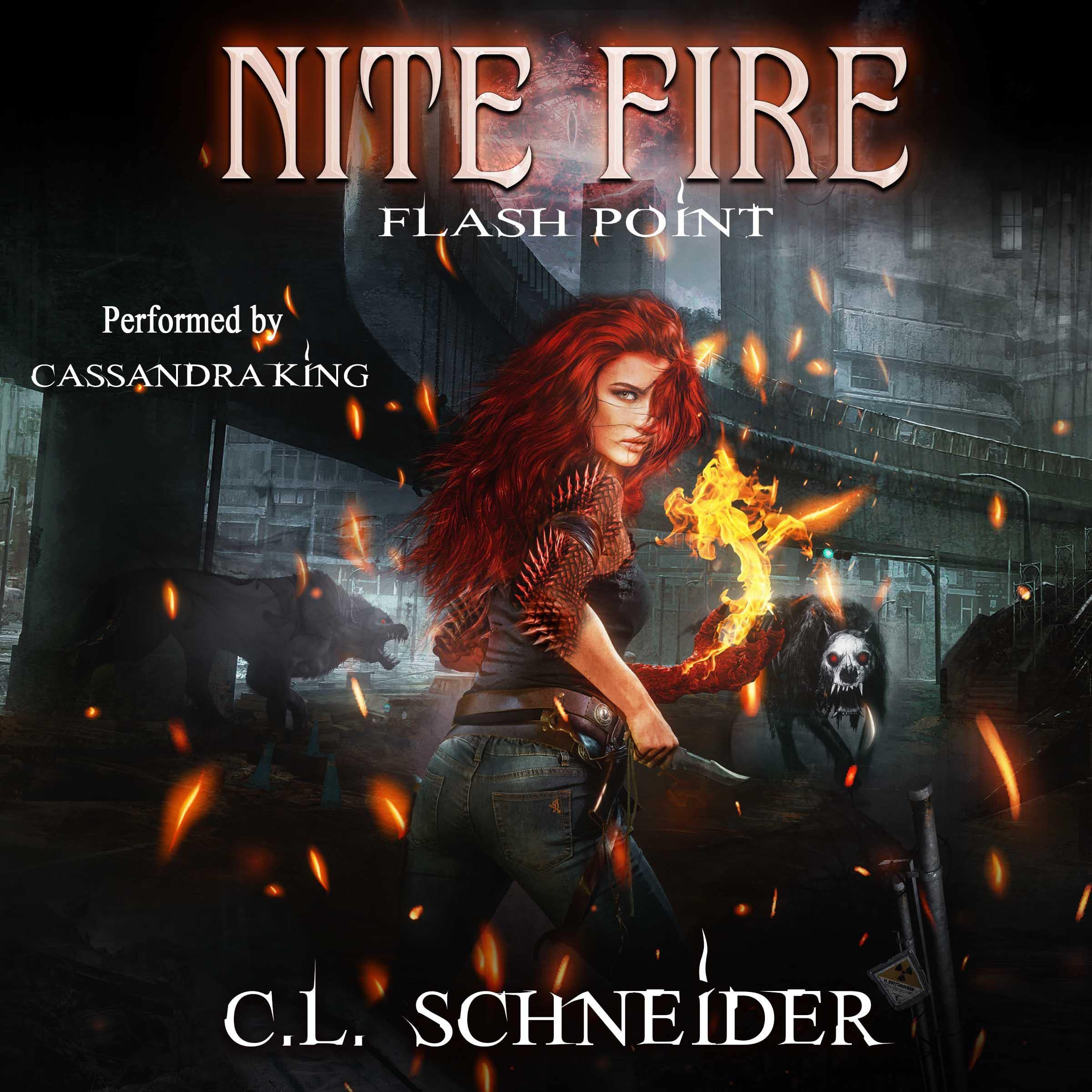 Cover art for Flash Point: Nite Fire, Volume 1