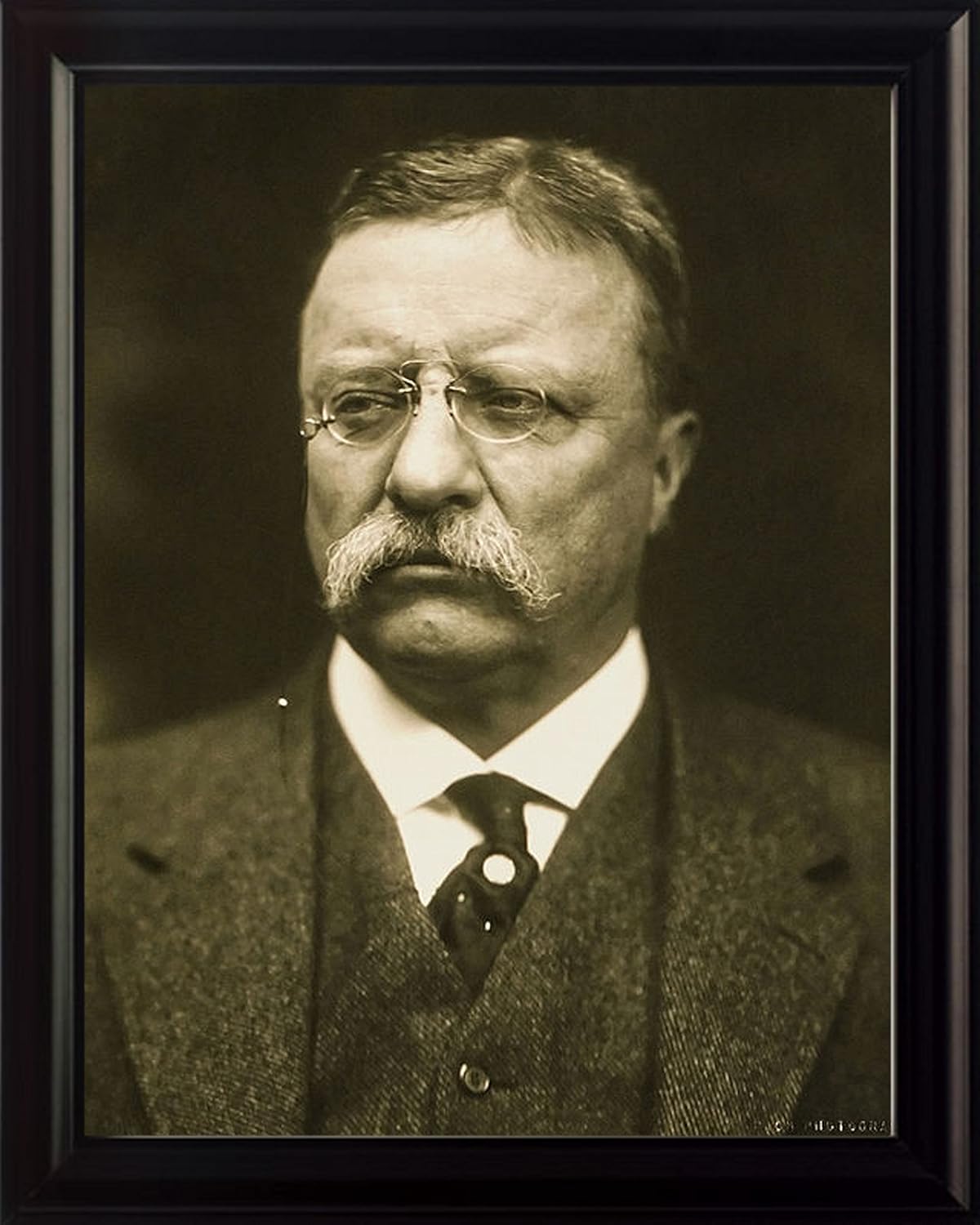 Theodore Roosevelt Framed 8x10 Photo