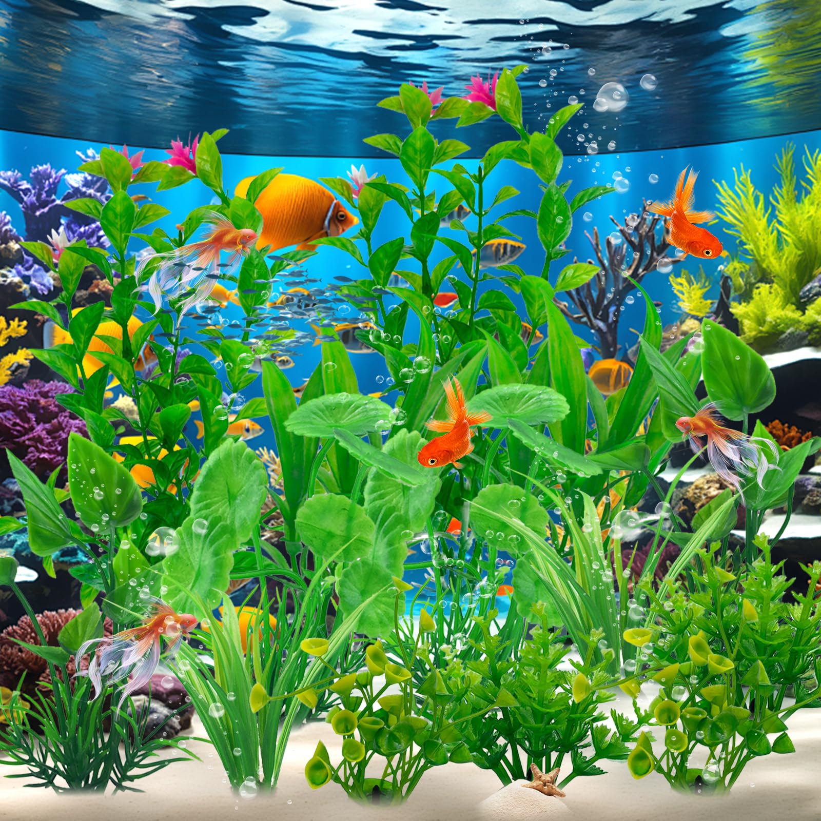 fish tank accessory kit JumblPets Starter Aquarium Kit, Beginner Glass Fish w/LED Lighting & More (2 Gallon) what a amusement park for them Aquarium Kit Fish Tank Accessories