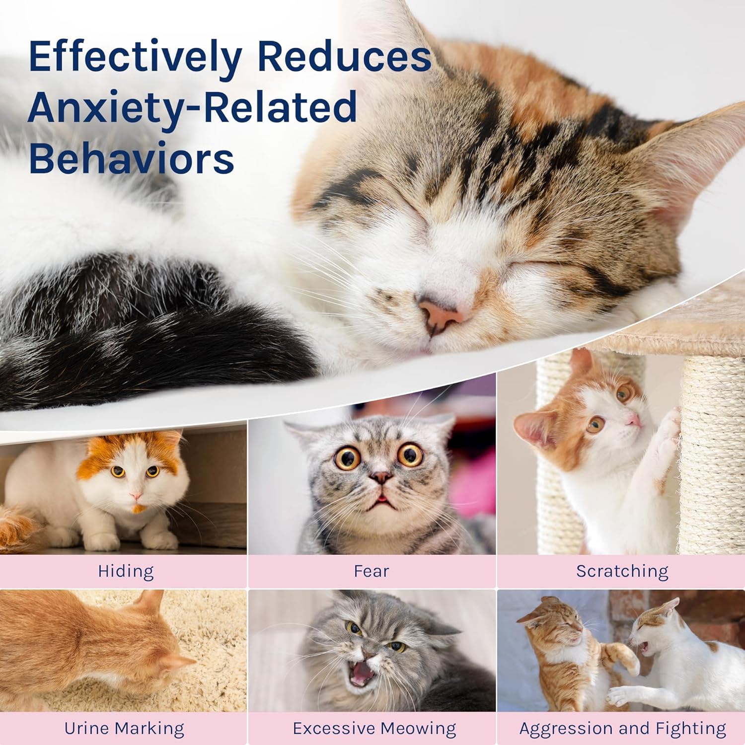 MerryMilo Cat Calming Pheromones Diffuser: 2 Classic Cats Plug in Refill Diffusers for Relaxation & Comfort - Reduce Stress Barking & Scratching - Indoor 60 Days Supply - image 2