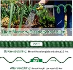 SPECILITE 3/8" Lightweight Coil Garden Hose 50 FT, EVA Flexible Curly Water Pipes with 6-Pattern Spray Nozzle for Boat, Greenhouse, Yard, Patio, Green