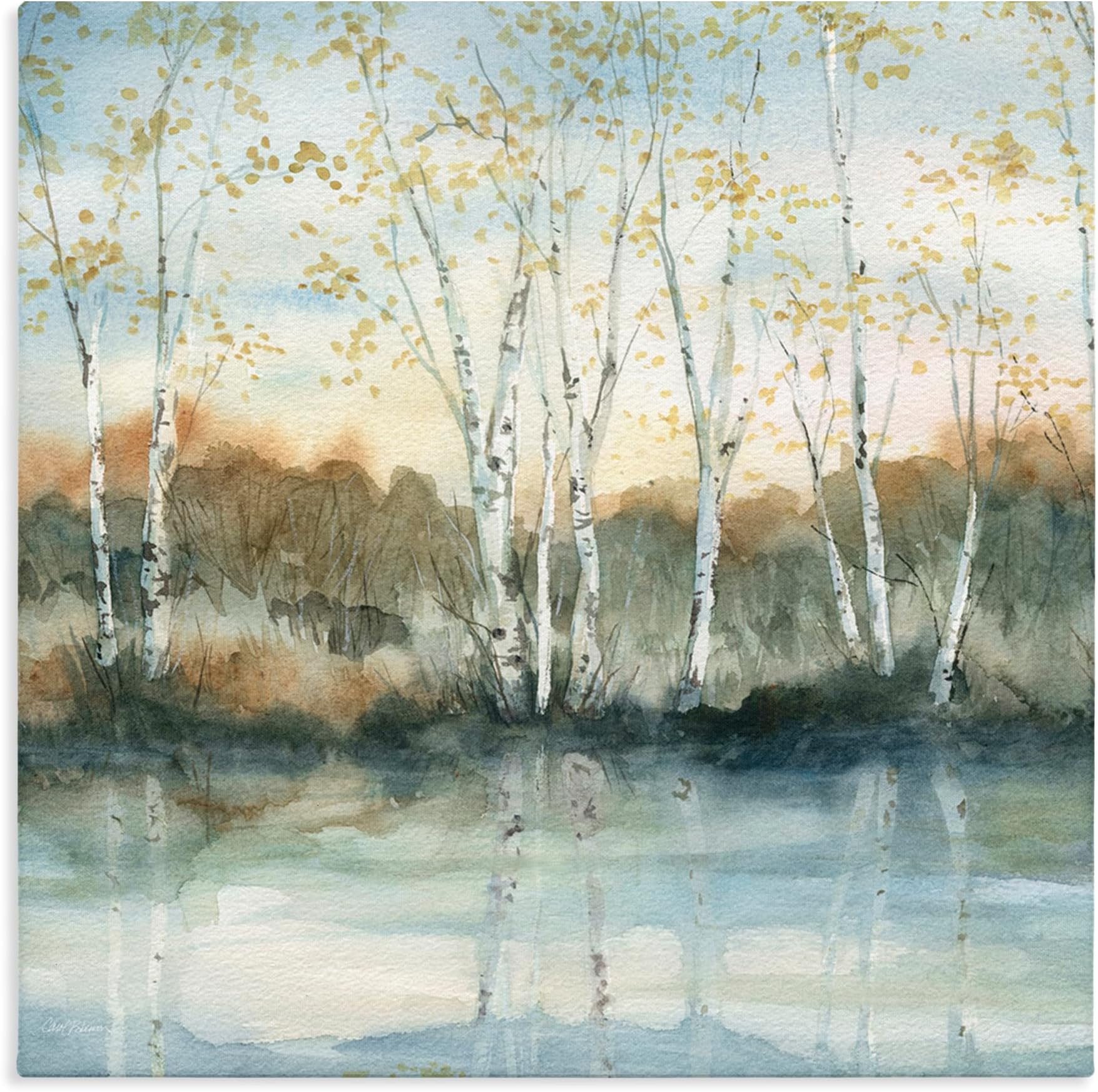 'Quaint Birch Tree Reflections'| Canvas Art