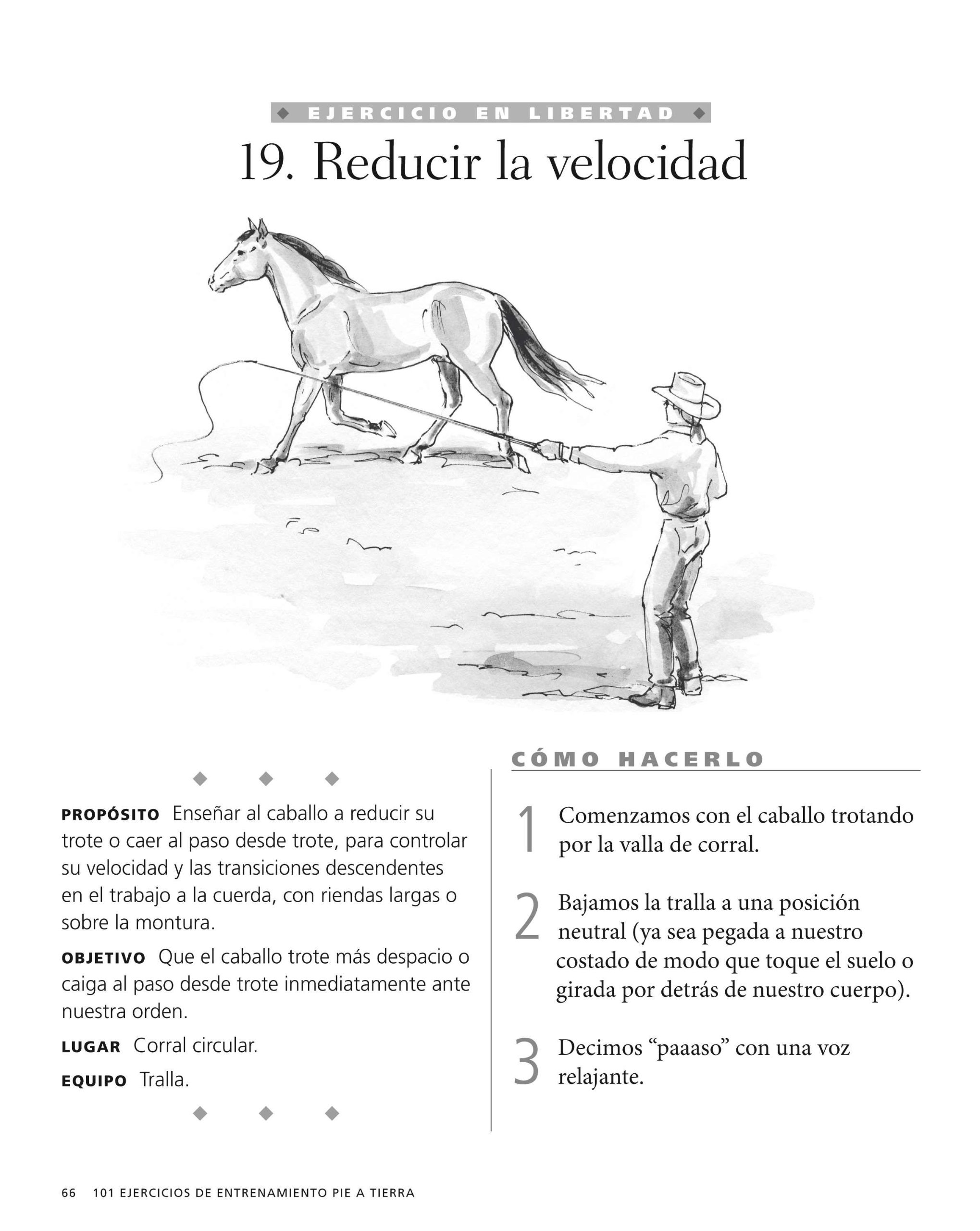 101 Ejercicios de entrenamiento pie a tierra. Para el caballo y el jinete (DEPORTES)