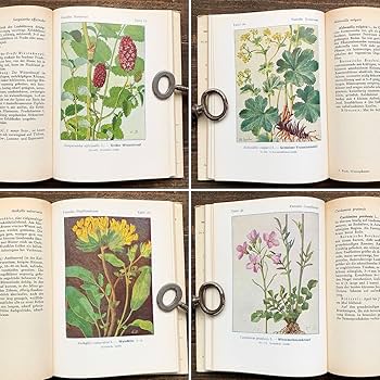 Amazon.co.jp: ドイツの古い植物図鑑(WIESENPFLANZEN 1955年