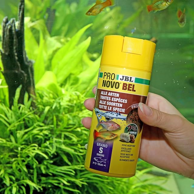 Foto 3 de 5 de JBL PRONOVO BEL Grano, Alimento básico para Todos Peces de Acuario de 3-10 cm, Gránulos para Pescados
