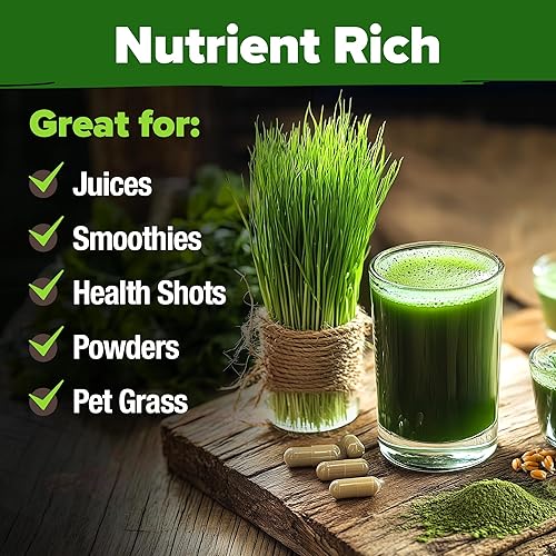 Miniatura 15 de HOME GROWN Paquete de 94 semillas de pimiento de plátano sin OMG, semillas de vegetales tradicionales de alta germinación para plantar en interiores