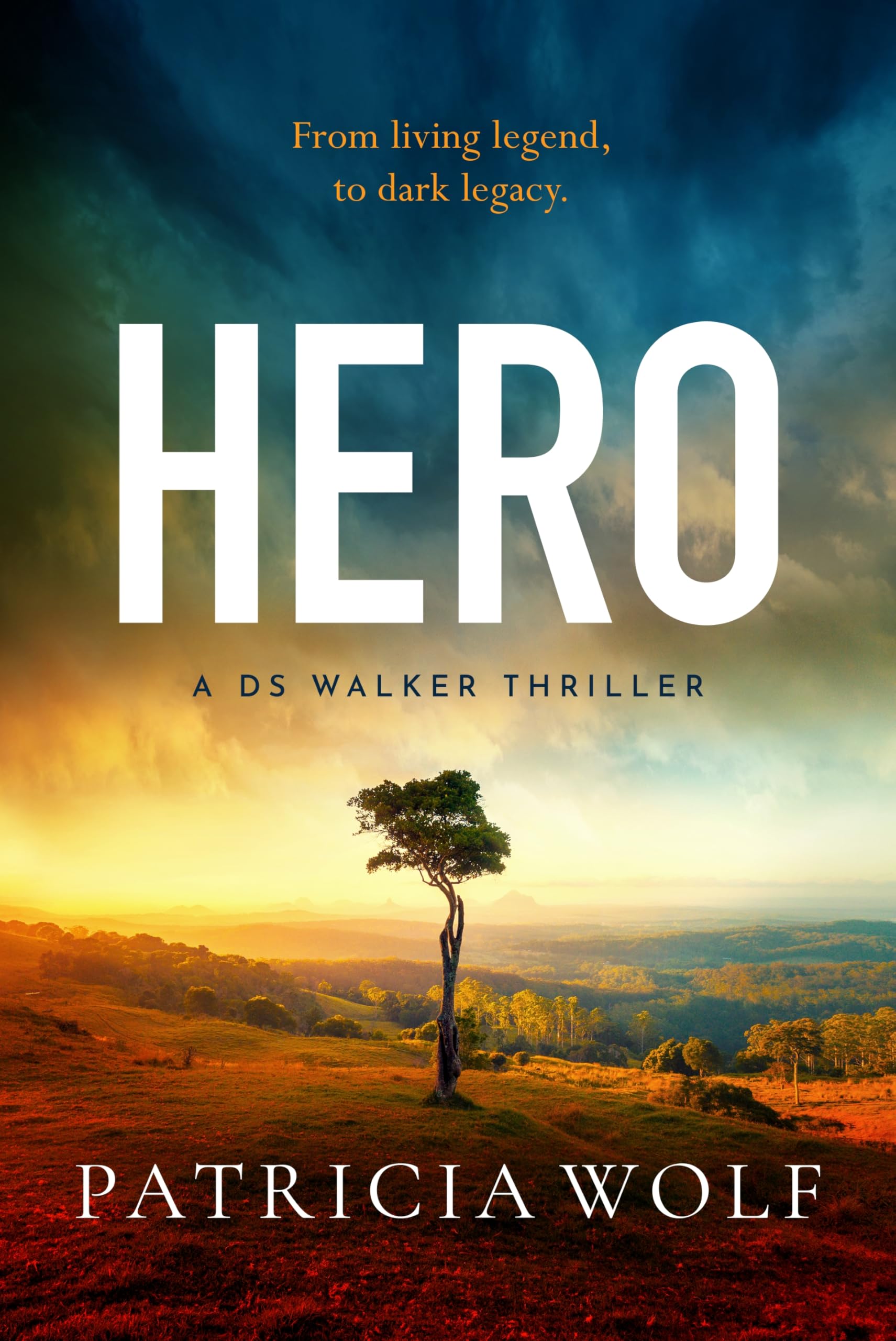 Hero: The new gripping thriller from the author of OUTBACK for 2026 (A DS Walker Thriller Book 5)