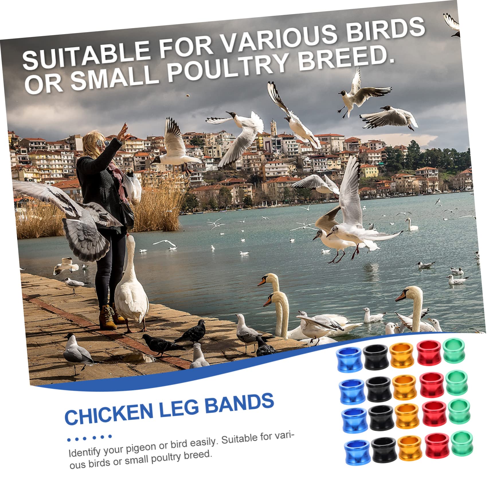 Kisangel 80 Piezas Anillo de pie de Paloma Proveedor de Loros de Aves Banda de de Paloma mensajera Accesorios para pájaros Accesorios para Aves Anillos para Patas de Aves de Corral