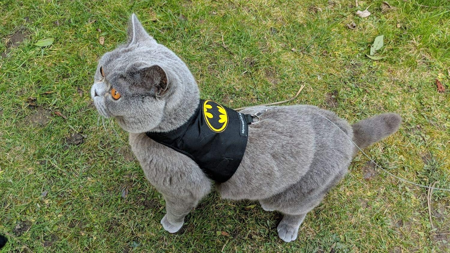 Mynwood Cat Jacket/Harness Batman Kitten up to 8month