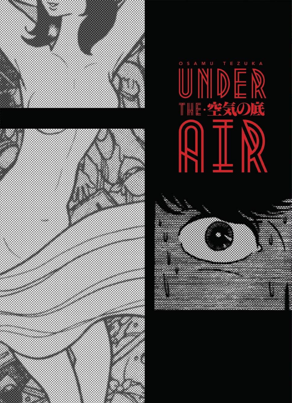 Digital Manga Publishing Under the Air