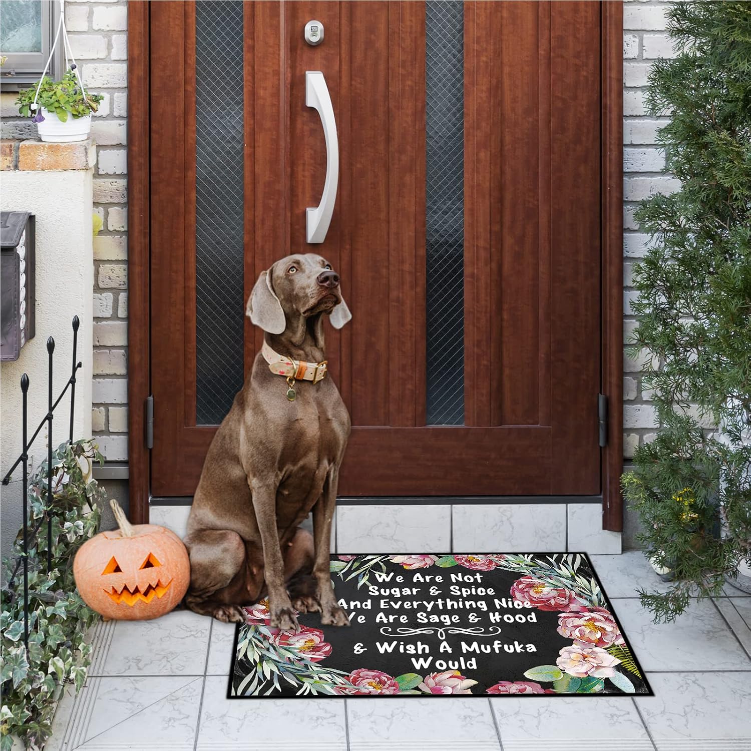 We are Not Sugar and Spice and Everything Nice We are Sage and Hood and Wish A Mufuka Would Outdoor Porch Rugs for Front Door, Front Fall Door Mat Indoor Entrance Fall 30"x18"