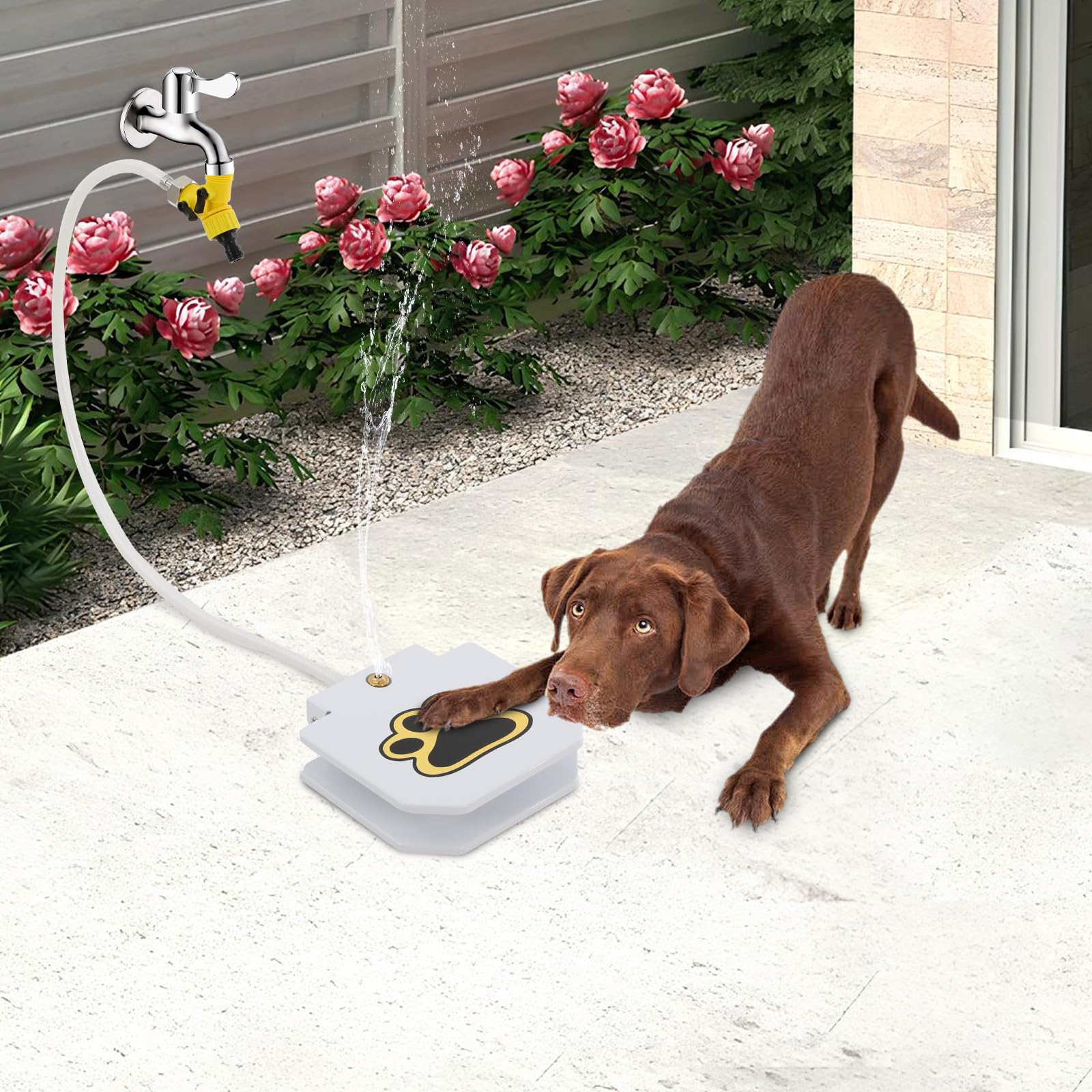 Trinkbrunnen für Hund und Haustier, Leicht Aktivierbarer Hunde-Wasserspender mit Schlauch, Step On Spielzeug mit Gartenschlauch Anschluss, Outdoor Pfoten Aktivierter Trink Haustierspender
