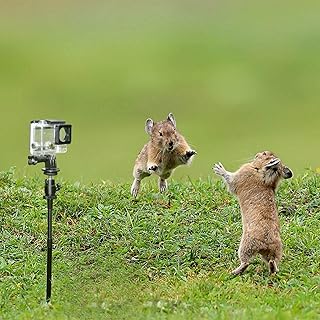 Universal Cameras Ground Spike Stick Mount Accessories for Trail Camera Stake Mount | Adjustable Length | Adjustable Tilt 1/4-20 Ball Head | Fits Scouting Hunt Camera and Gopro Action Camera