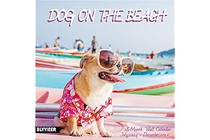 Dogs on the Beach Calendar 2024-2025