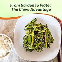 Vista 6 de Outsidepride Semillas de jardín de hierbas de cebollino perenne de 1 oz para microverdes, brotes y cocina