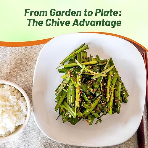 Miniatura 6 de Outsidepride Semillas de jardín de hierbas de cebollino perenne para microverdes, brotes y cocina
