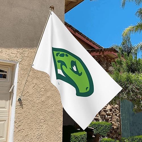Miniatura 6 de Daytona Tortugas Double Sided Garden Flag 3x5 Ft Decor Outdoor Banner Sign Party Parade Breeze Home Fade Proof Flags