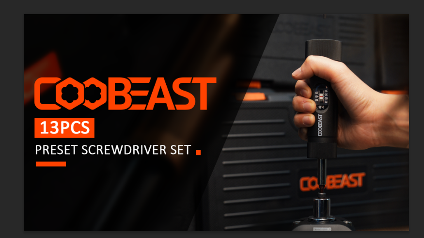 coobeast 13Pcs Preset 1/4” Drive Torque Screwdriver with S2 Bits