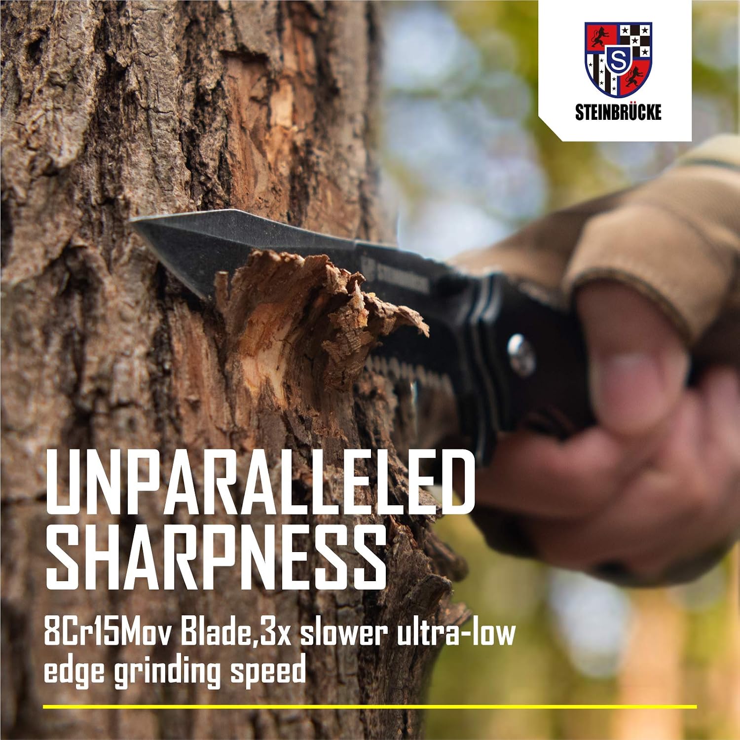 STEINBRÜCKE Pocket Knife Folding Knife - 3.4'' Blade High Performance Stainless Steel 8Cr13Mov Reversible Clip Folding Knife for Outdoor, Hunting, Camping, Survival and EDC