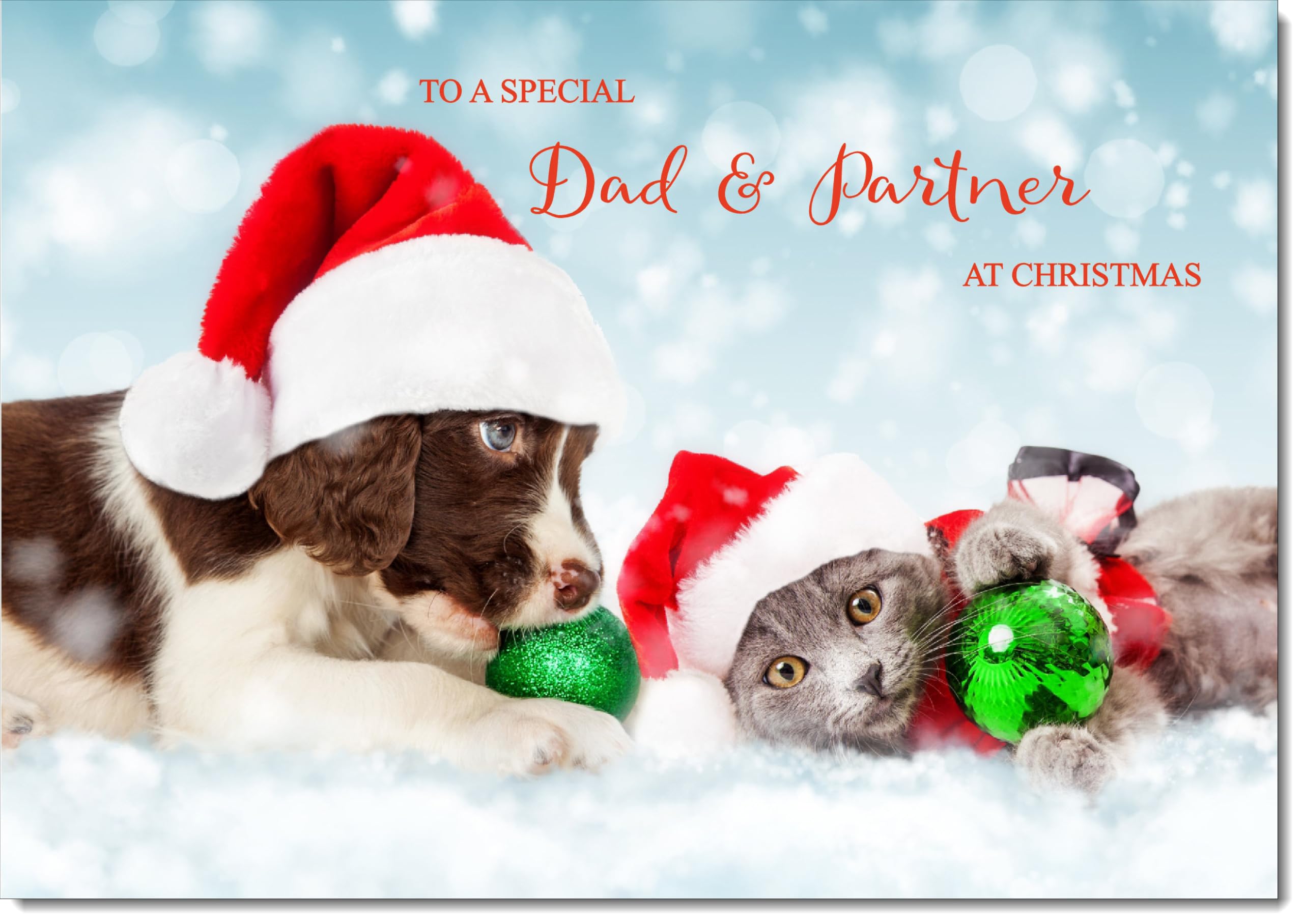 doodlecards Dad and Partner Christmas Card Puppy and Kitten with Santa Hats Large A4 Size Christmas Card for Dad & Partner with Plain Envelope