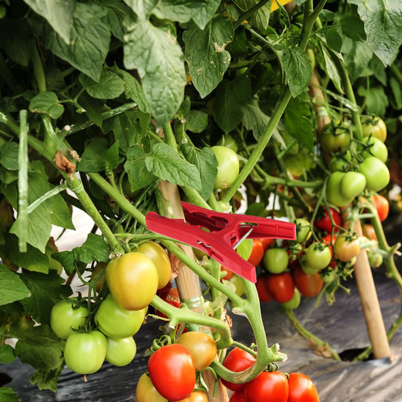 Wiederverwendbare Rot Stück 100 Stützclips Kunststoff Gartenpflanzen