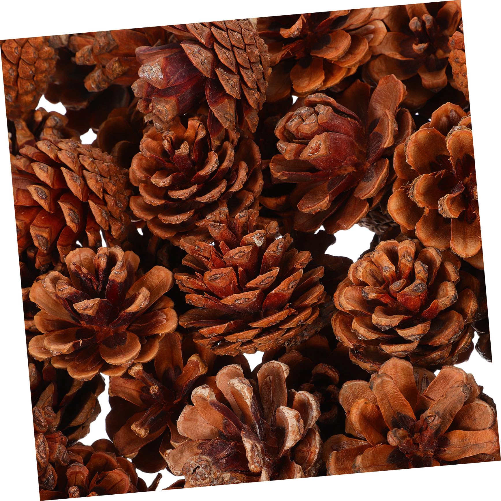 ULTECHNOVO 130stücke Kleine Tannenzapfen für Herbst und Winter DIY-bastelmaterial Vasenfüller Thanksgiving und Weihnachtsdekoration