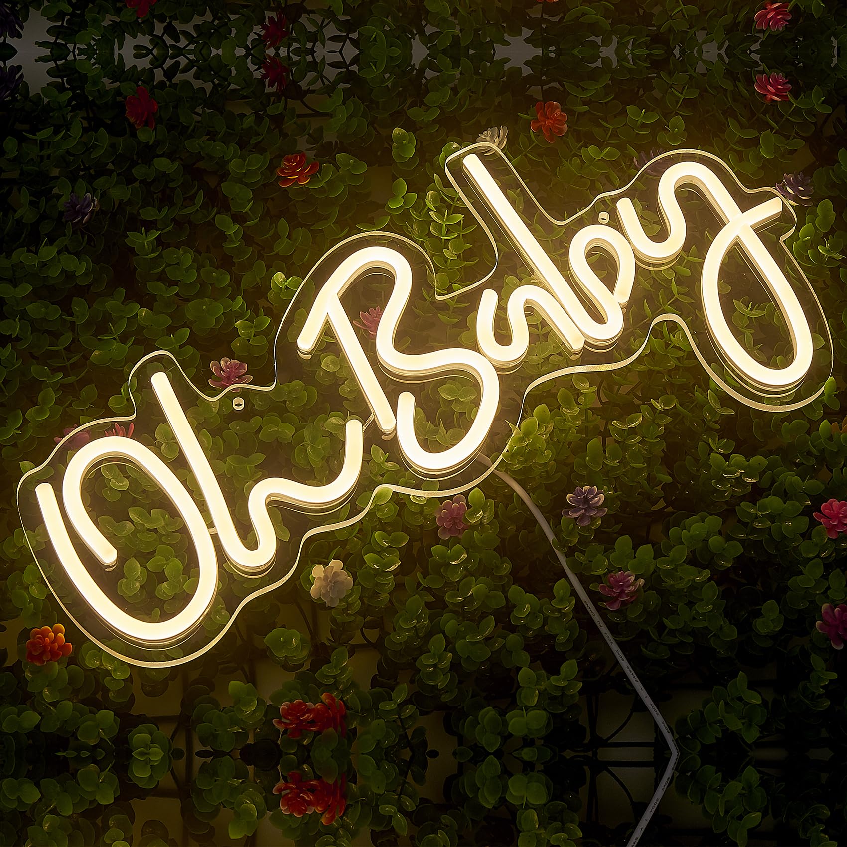 Giparan Oh Baby Sign for Backdrop Oh Baby Light Up Sign Oh Baby Neon Sign with dimmable Oh Baby Led Sign for Baby Shower Gender Reveal, Wall Decorations (Warm White) Size: L16.3