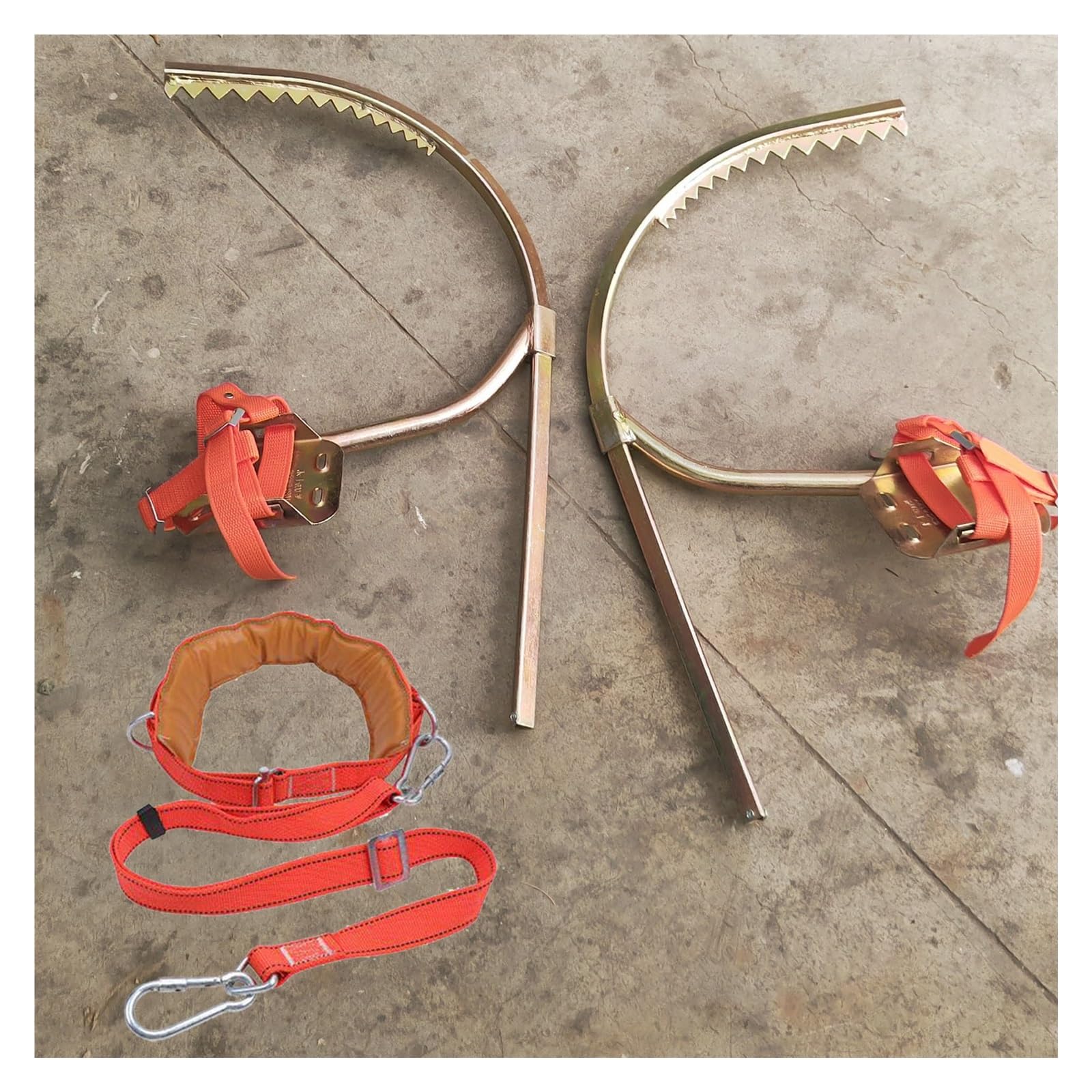 Griffe Elagage Crampons pour L'élagage, Kit D'élagueur pour Poteau Électrique/Épées pour Subir Les Arbres, Éperons D'élagueur avec Pédale Antidérapante Et Sangle