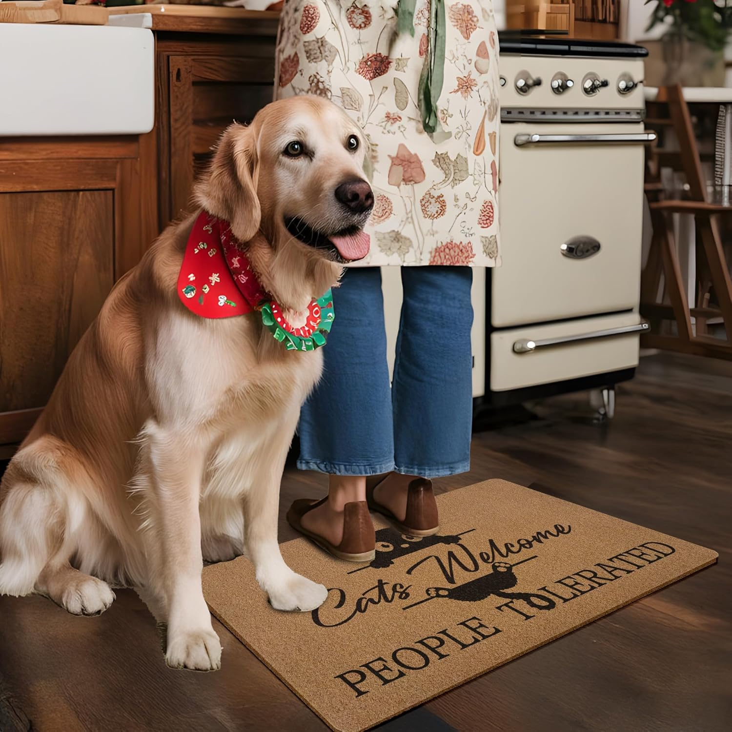Funny Cat Welcome Door Mat, Black Cat Gifts for Women Welcome Front Door Mat Indoor Outdoor Entrance, Cats Artificial Coir Doormats Rugs for Porch Entryway Decor 30x17in