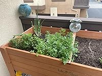 Review Image by Vicente Vicente