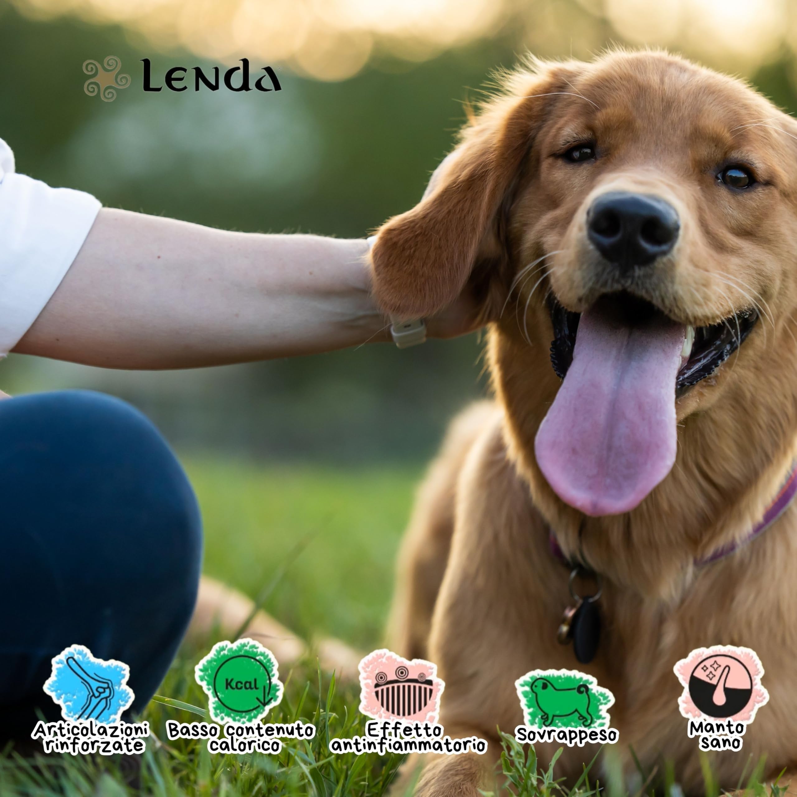 Lenda Light 12 kg - Crocchette Cani light per Adulti in Sovrappeso o Tendenza a Ingrassare - Cibo per Cani a Basso Contenuto Calorico - Ideale per Cane Sterilizzati - Con condroprotettori e Probiotici