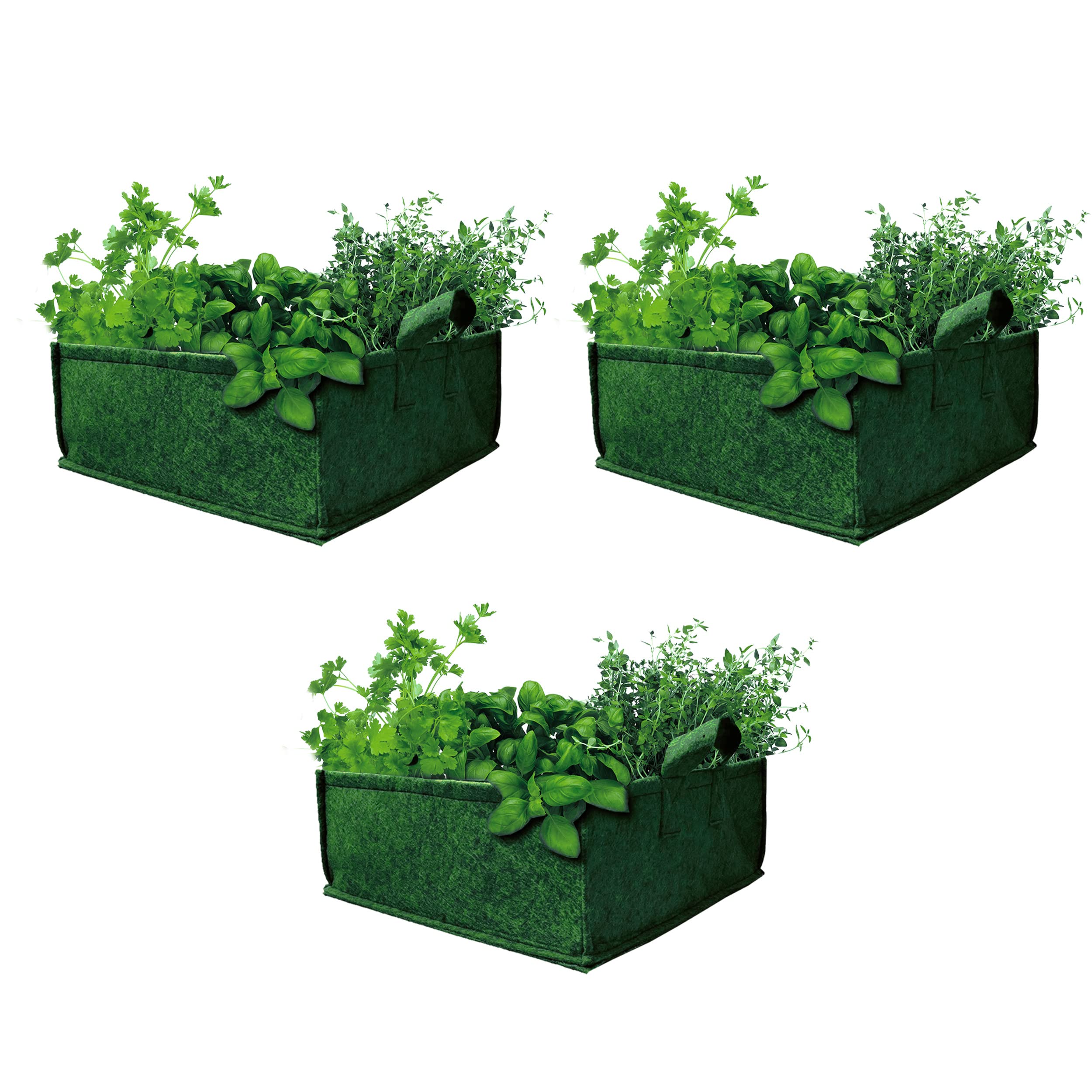 Bombay Greens ; Sow, Grow, Eat, Repeat Geo Fabric Grow Bags Premium 350 Gsm Bags For Terrace Kitchen Gardening - Set Of 3 18X7.5X5.5 Inches - Green (B097PDXZ4B) Amazon Price History, Amazon Price Tracker