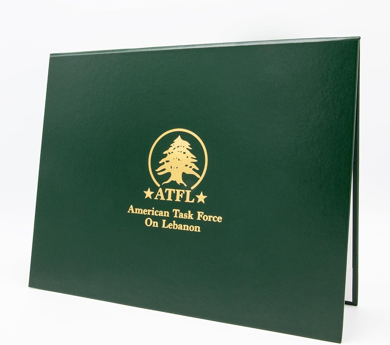 Faux Leather Document Cover with Custom Metallic Foil Printing, Tent-Style Opening, Non-Padded Hardback, Professional Presentation for Awards, Diplomas, Certificates (Green, 11x14 Large Size)
