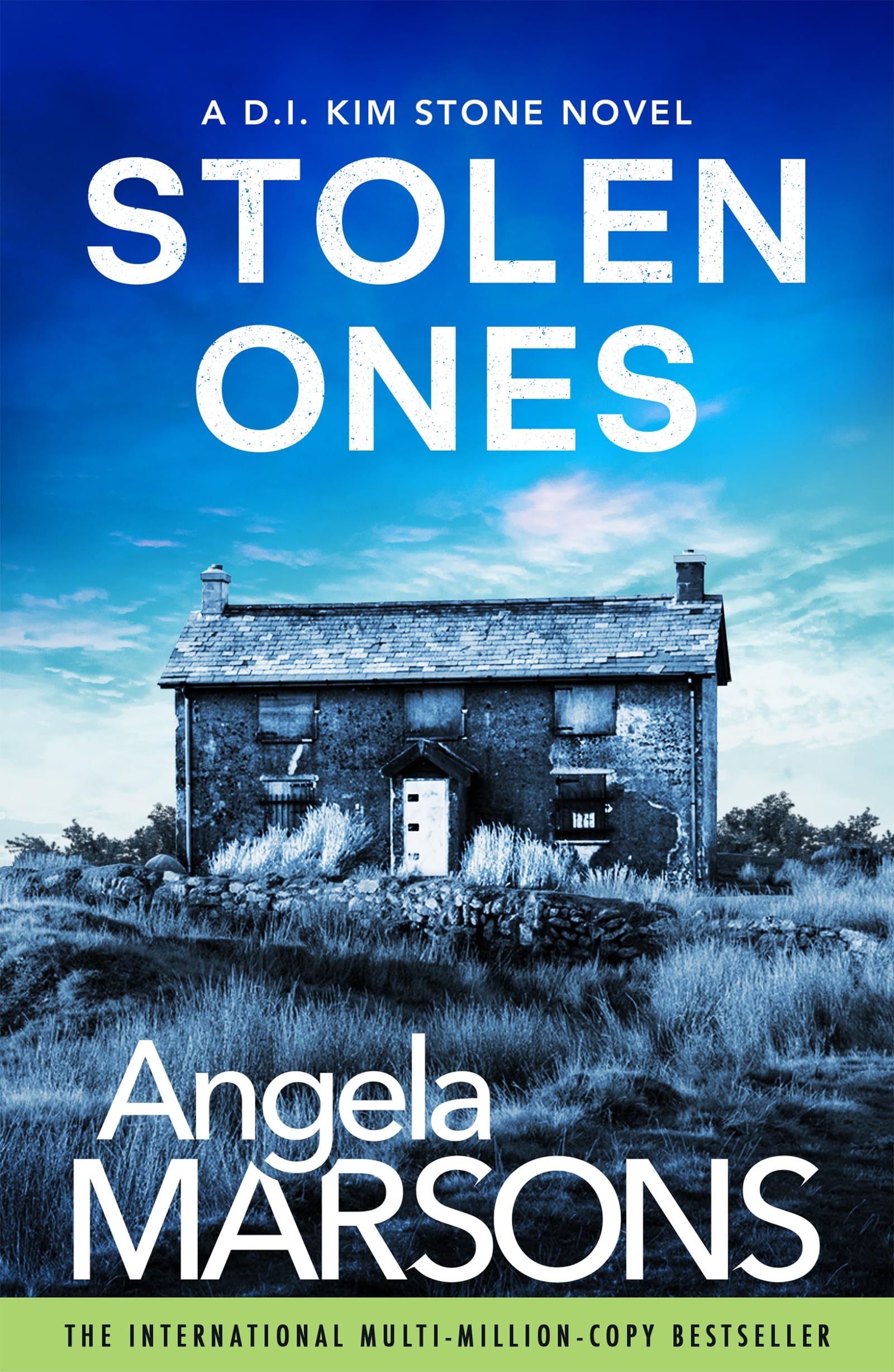 Stolen Ones: A totally jaw-dropping and addictive crime thriller