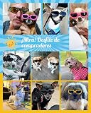 Ver la foto 2