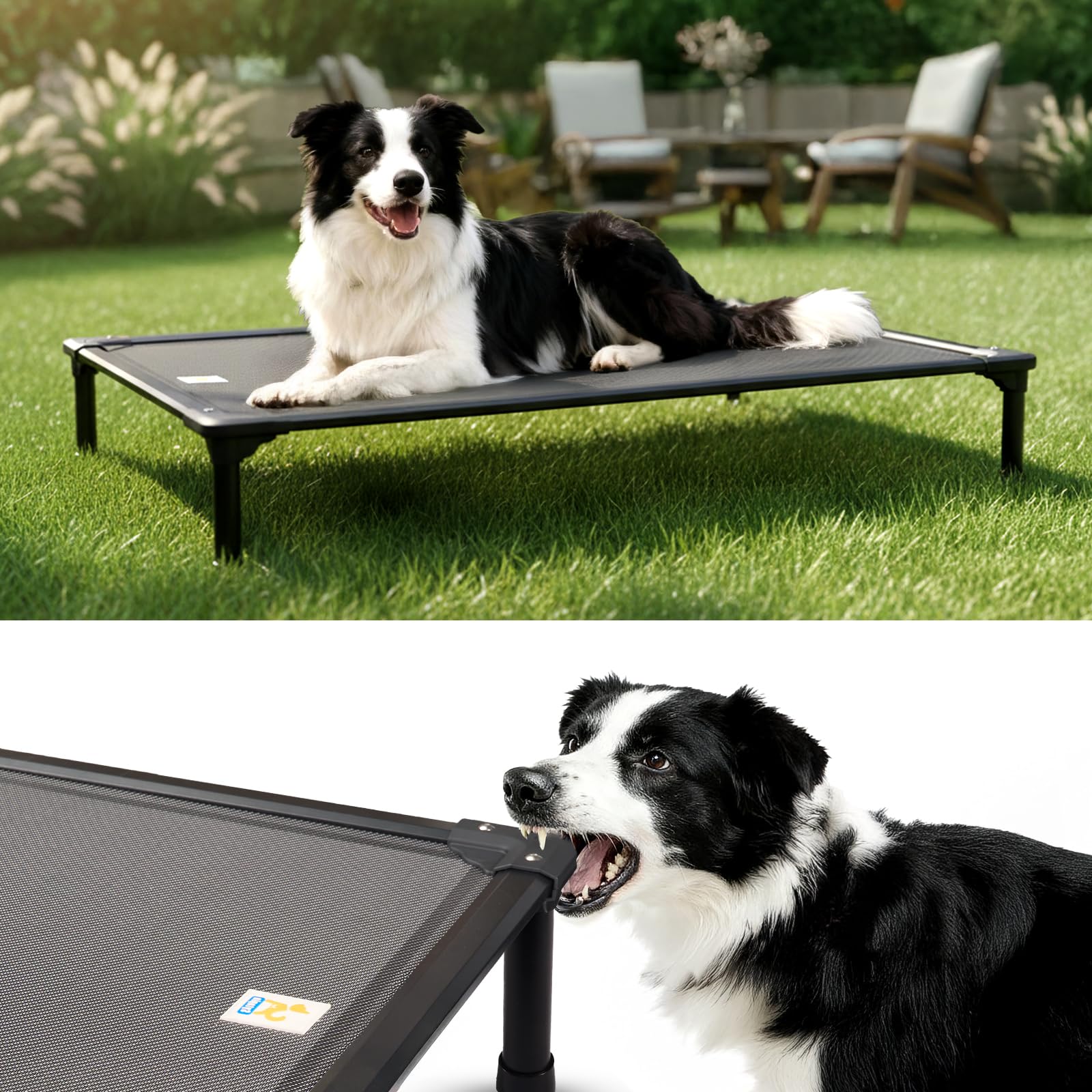 Sytopia 42'' Outdoor Elevated Dog Bed for Large Dogs, Chew-Proof Pet Camping Raised Cot with Breathable Mesh - Durable Frame, Cooling Hammock Bed, Non-Slip Feet, Waterproof, Easy Clean