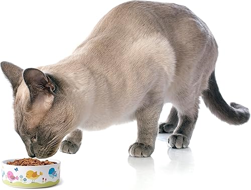 Miniatura 4 de PetRageous 17011 Early Bird - Cuenco de cerámica para gatos apto para lavavajillas con capacidad para 2 tazas, 5 pulgadas de diámetro, 2 pulgadas de