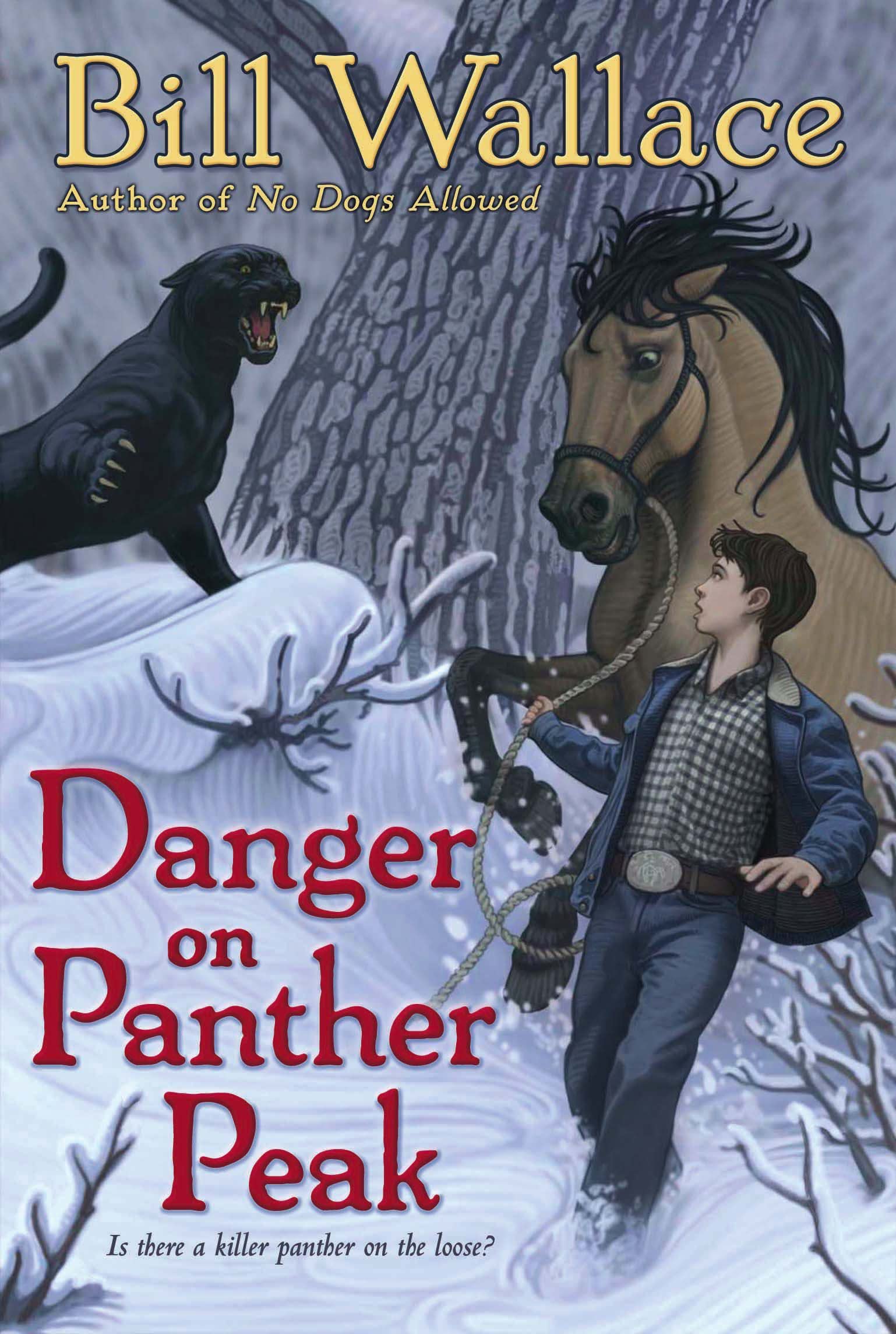 Cover of Danger on Panther Peak
