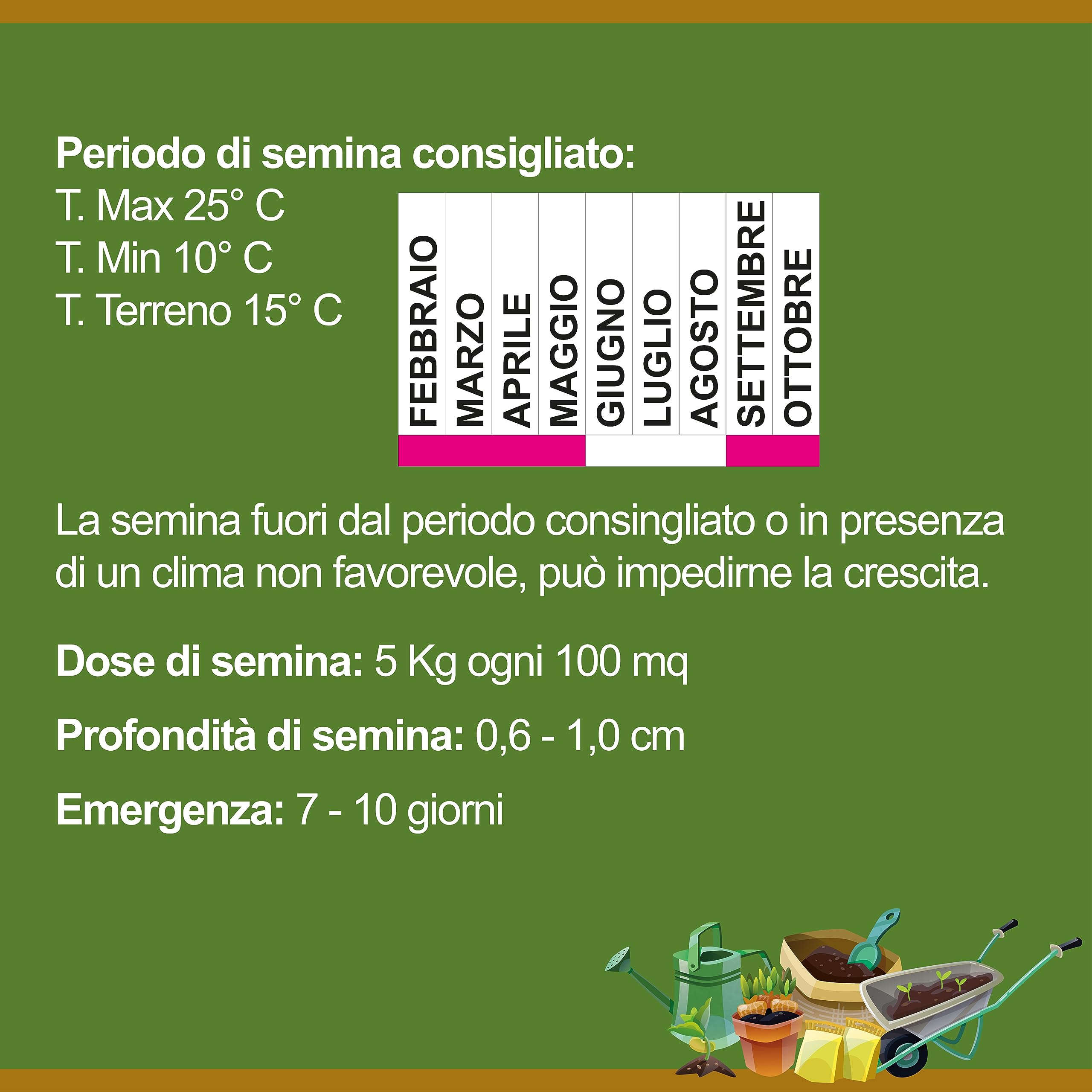LOIETTO PERENNE | Alfombra Erbosa | El Contadino (20 kg)