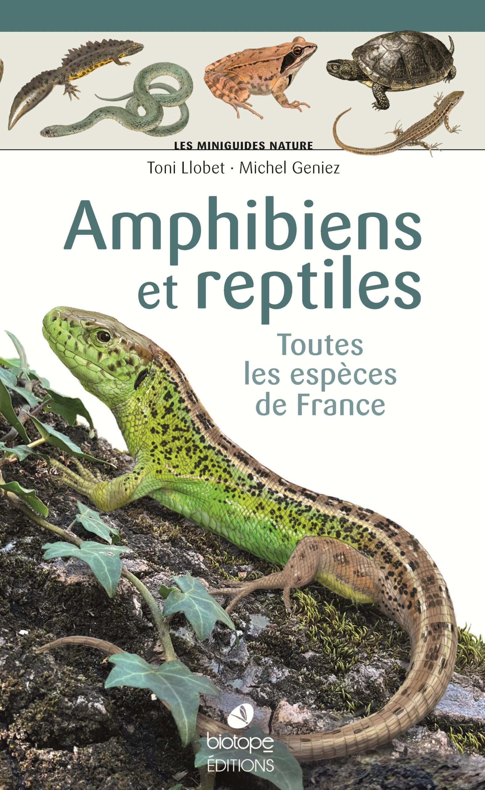 Les miniguides nature - Amphibiens et reptiles de France: Toutes les espèces