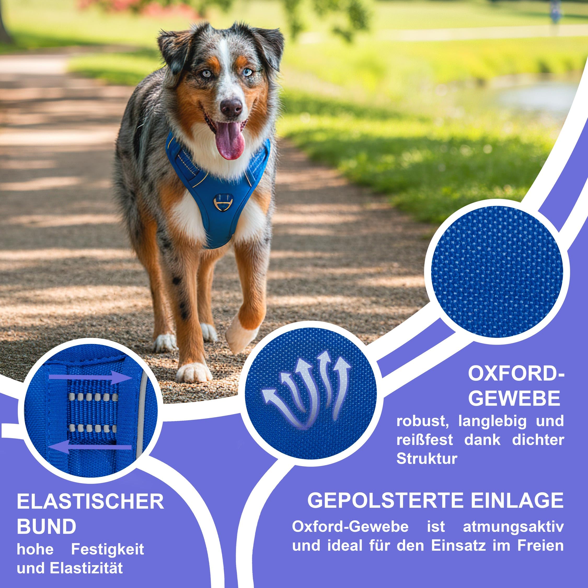 Reichstadt Pets Hundegeschirr Mittlere Hunde 25RSP083 Blue M | Verstellbares No-Pull Geschirr mit Griff & Reflektoren | Atmungsaktiv, Gepolstert & Strapazierfähig | Sicherheitsgeschirr