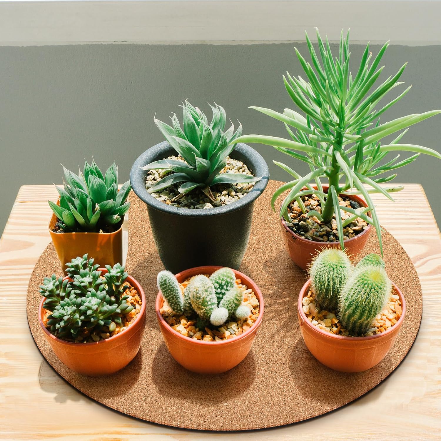 Leinuosen 2 Pcs 18 Inch Large Cork Plant Coasters Double Layers Absorbent Cork Indoor Plant Mat Rug Accessories for House Floor Protection
