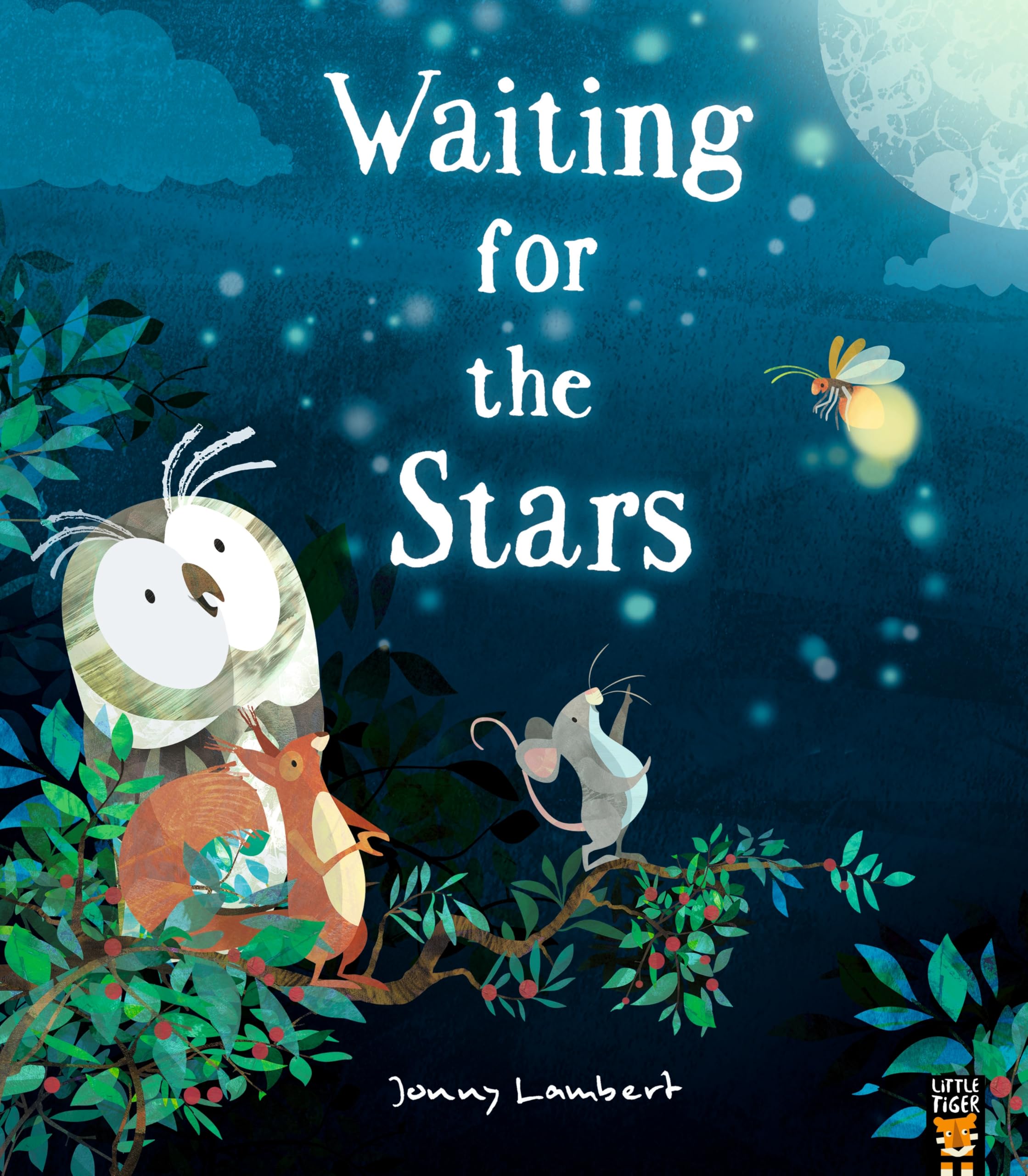 Jonny Lambert Waiting for the Stars Paperback Book